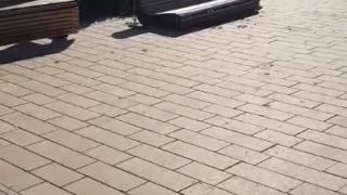 Жители Георгиевска жалуются на брошенные в парке качели