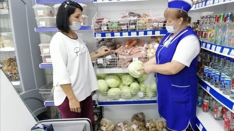 На Ставрополье активисты мониторят цены на овощи в сёлах