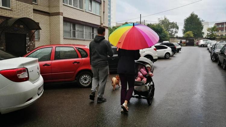 На Ставрополье перепись населения идёт опережающими темпам