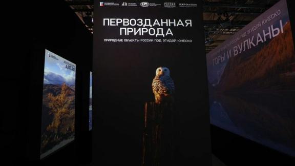Мультимедийная выставка «Наследие и наследники» в Пятигорске работает бесплатно