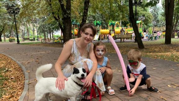 В Кисловодске 27 бездомных животных нашли хозяев на фестивале «Вдруг тут друг»