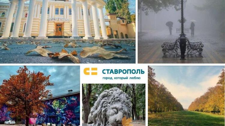 В Ставрополе назвали победителей фотоконкурса «Город, который люблю»