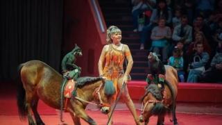 В Кисловодске открывается выставка, посвящённая старейшей цирковой династии