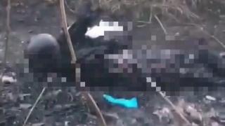 В Кировском округе Ставрополья на месте пожара обнаружили «связанное» тело