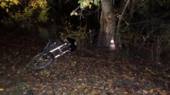 Мотоциклист погиб, врезавшись в дерево в Курском районе