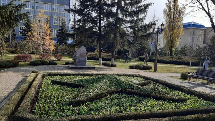 Клумбы в Ставрополе готовят к весеннему цветению