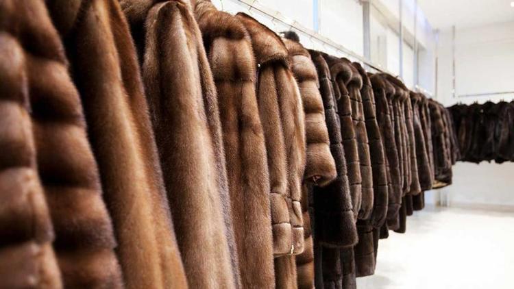В Пятигорске откроется международная выставка изделий из меха и кожи