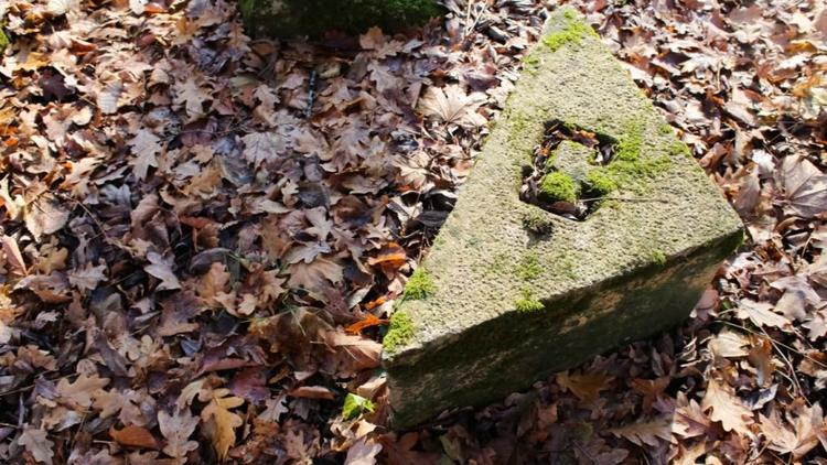 В Железноводске восстановят обнаруженный у горы Развалка каменный компас