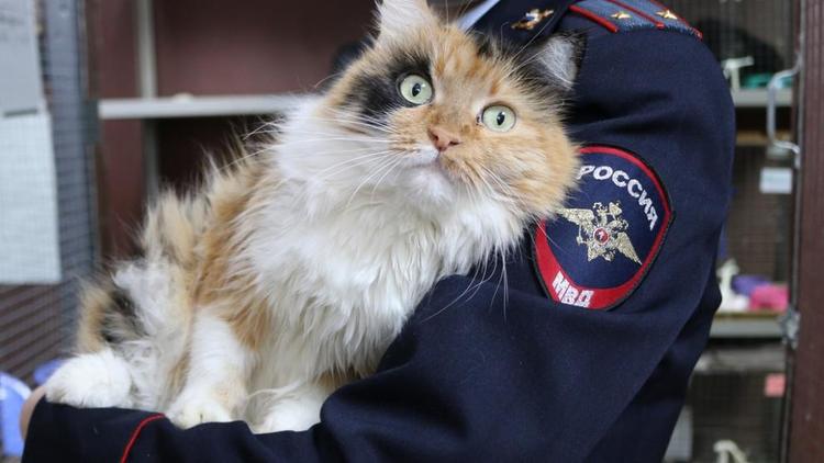Сотрудники полиции Ставрополья посетили приют для безнадзорных животных