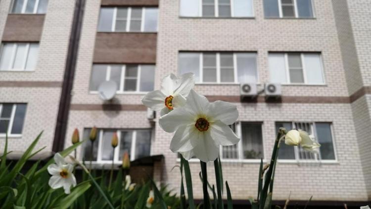 На Ставрополье при покупке жилья 55 человек получат помощь от государства 