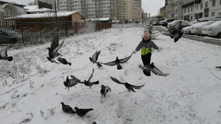 Коммунальщики Ставрополя встретили снежный циклон во всеоружии