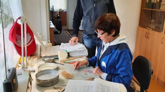 Качество семян озимых культур под урожай 2022 года проверяют на Ставрополье