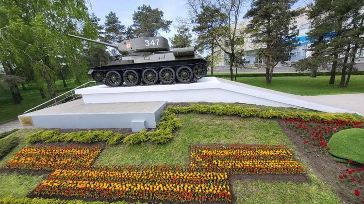 В Ставрополе ко Дню Победы высадили цветущие Георгиевские ленты