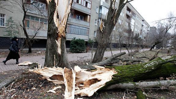 Ликвидация последствий ураганного ветра продолжается на Ставрополье
