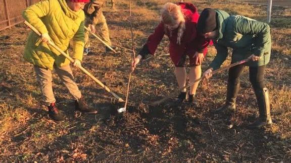 В Андроповском округе Ставрополья в рамках международной акции высадили 245 деревьев