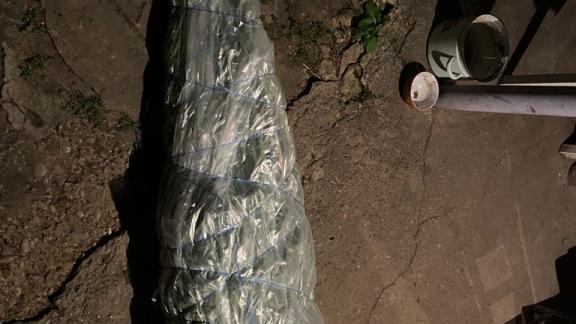 Мужчина на Ставрополье хранил дома около шести килограммов наркосодержащего растения