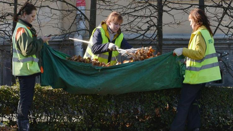 Жителям Ставрополья рассказали об утилизации опавшей листвы