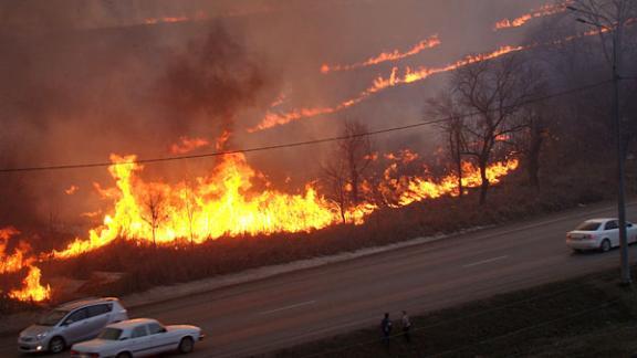 За три года на Ставрополье количество ландшафтных пожаров увеличилось в 4 раза