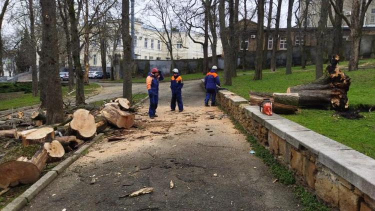 Последствия ураганного ветра устраняют в Ставрополе