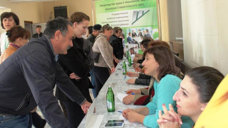 На Ставрополье работодатели получают субсидии на трудоустройство молодых специалистов