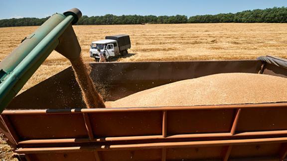 Жатва 2015: Более 8 миллионов тонн зерна собрали в Ставропольском крае