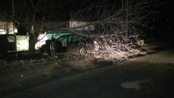 Пьяный 17-летний водитель протаранил дерево в Пятигорске