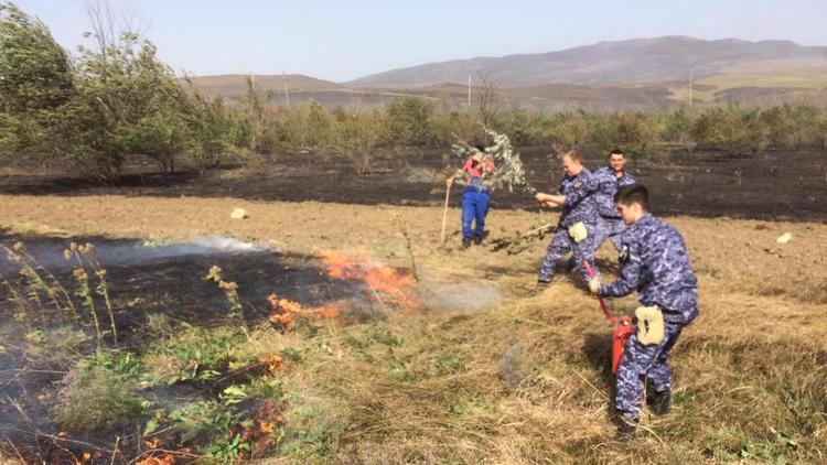 Росгвардейцы помогли потушить пожар на Сенгилеевском водохранилище