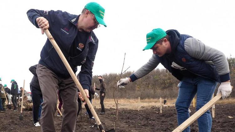 Владимир Владимиров поддержал экологическую акцию «Сохраним лес»
