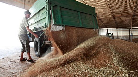 Цены на зерно выросли до рекордных величин