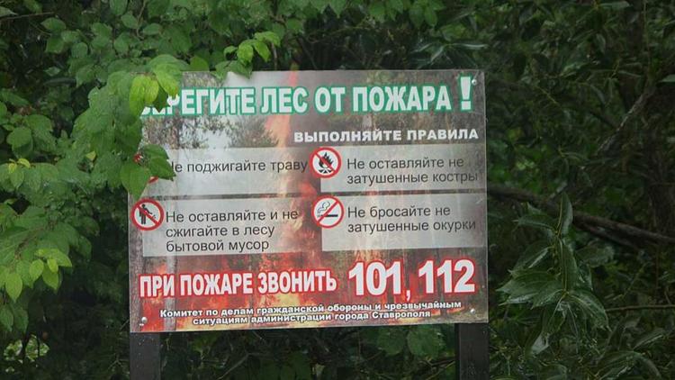 С 1 июля на Ставрополье вводится особый противопожарный режим