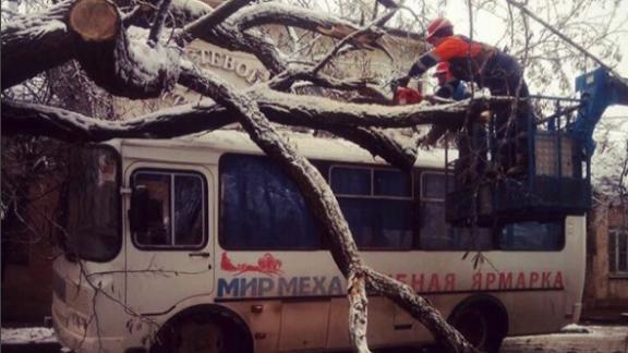 В Пятигорске дерево упало на автобус