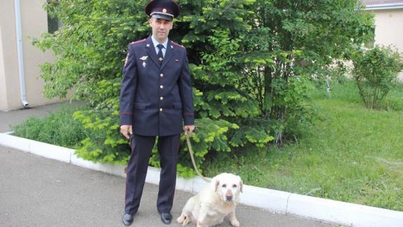 Ставропольские криминалисты рассказали о работе собак-детекторов