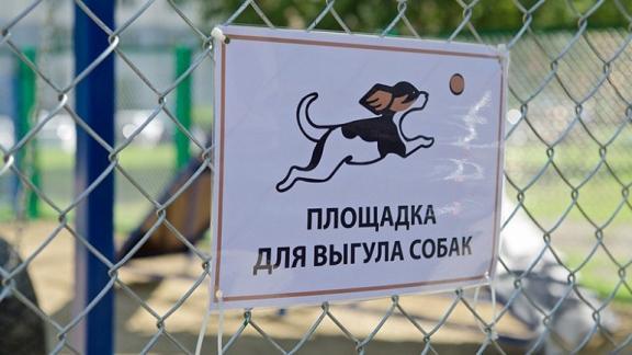 В Железноводске жители выберут места для выгула собак