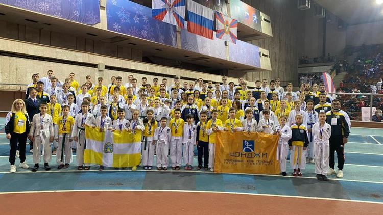 Ставропольские тхэквондисты успешно выступили на всероссийских соревнованиях