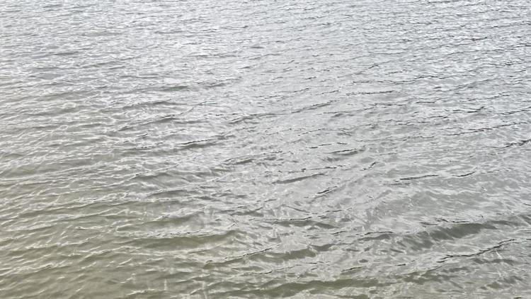 Студент из Китая утонул в пруду села Новозаведенного на Ставрополье