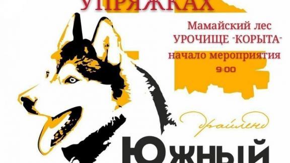 3 и 4 ноября в Ставрополе пройдут гонки на собачьих упряжках
