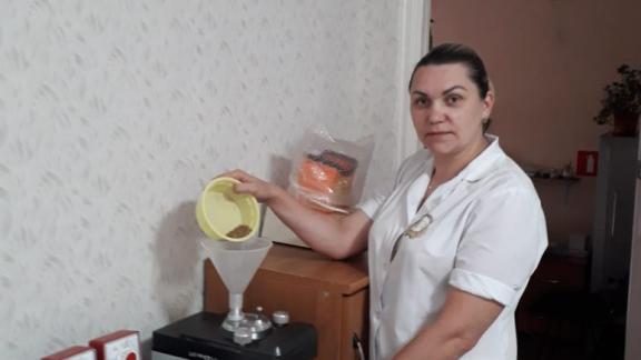 В Туркменском округе Ставрополья проверяют качество зерна