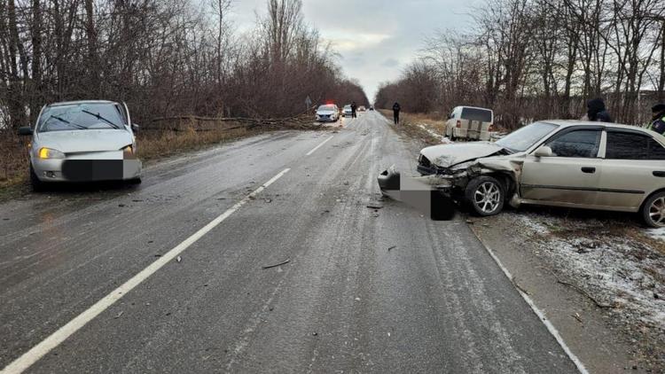 Упавшее на дорогу дерево стало причиной ДТП в Кочубеевском округе Ставрополья