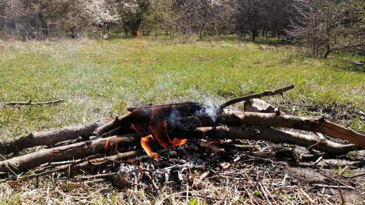 На Ставрополье выявлены случаи нарушения правил пожарной безопасности в лесах