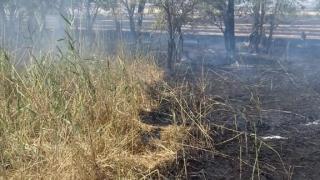 Шесть пожаров разгорелись за сутки на полях Ставрополья