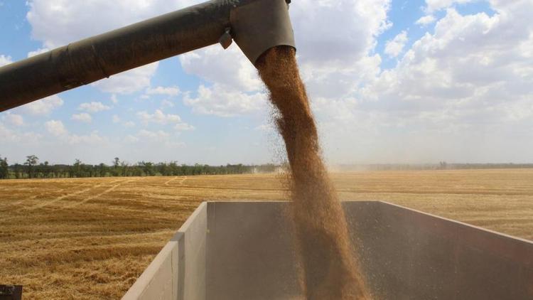 Более 211 тысяч тонн зерна намолотили труженики Степновского округа