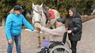 Общение с лошадками помогает пожилым людям улучшить психоэмоциональное здоровье