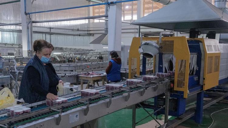 На Ставрополье расширят господдержку для перерабатывающей пищевой индустрии