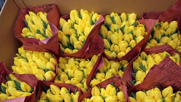 Предприниматель из Предгорного округа Ставрополья планирует расширять цветочный бизнес