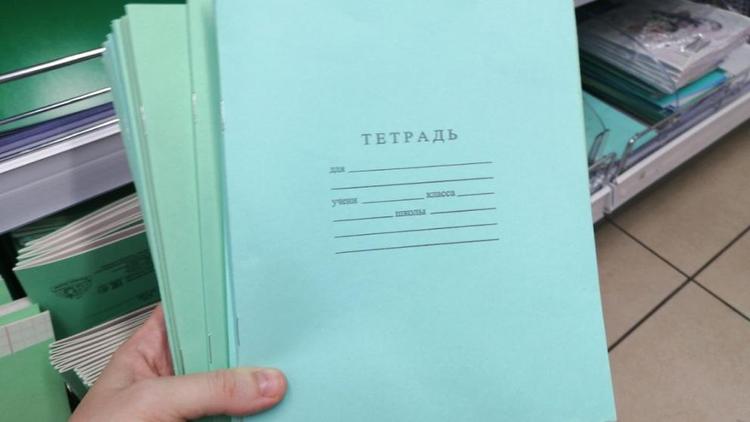 На Ставрополье должность советников школьных директоров официально введена в штатное расписание