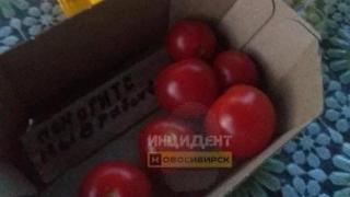 В пачке ставропольских томатов нашли записку о рабстве