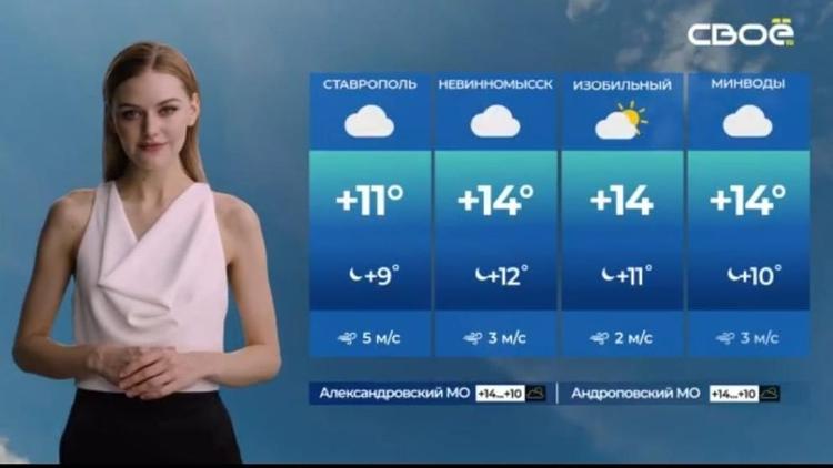Прогноз погоды на телеканале «СвоёТВ» озвучивает виртуальная ведущая