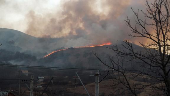 Более 100 гектаров леса уничтожено в пожаре возле Кисловодска