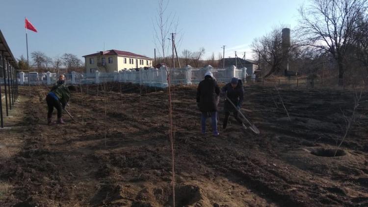 В ставропольском селе Отказном высадили берёзовую рощу в честь героев войны