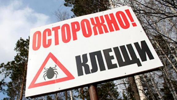 Более 5,5 тысячи человек, укушенных клещами на Ставрополье обратились за медпомощью
